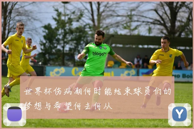 世界杯伤病潮何时能结束球员们的梦想与希望何去何从