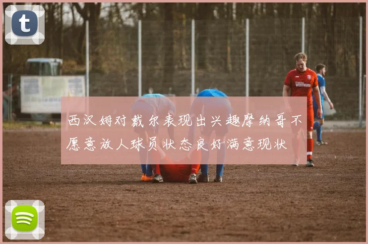 西汉姆对戴尔表现出兴趣摩纳哥不愿意放人球员状态良好满意现状