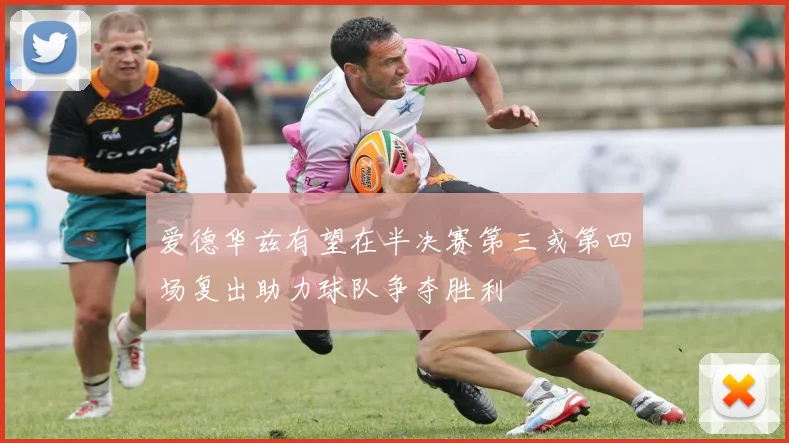 爱德华兹有望在半决赛第三或第四场复出助力球队争夺胜利
